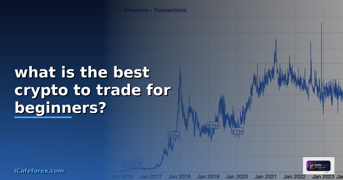 what is the best crypto to trade for beginners?