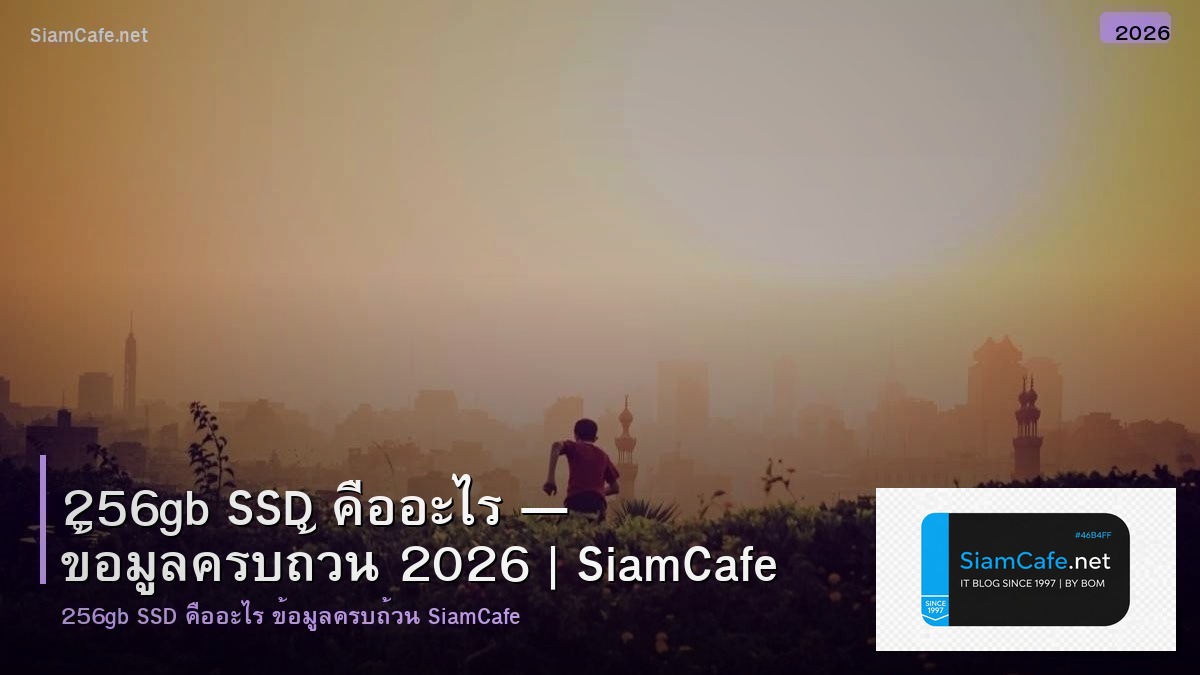 256gb ssd คอ