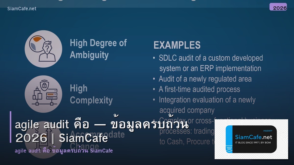 agile audit คอ