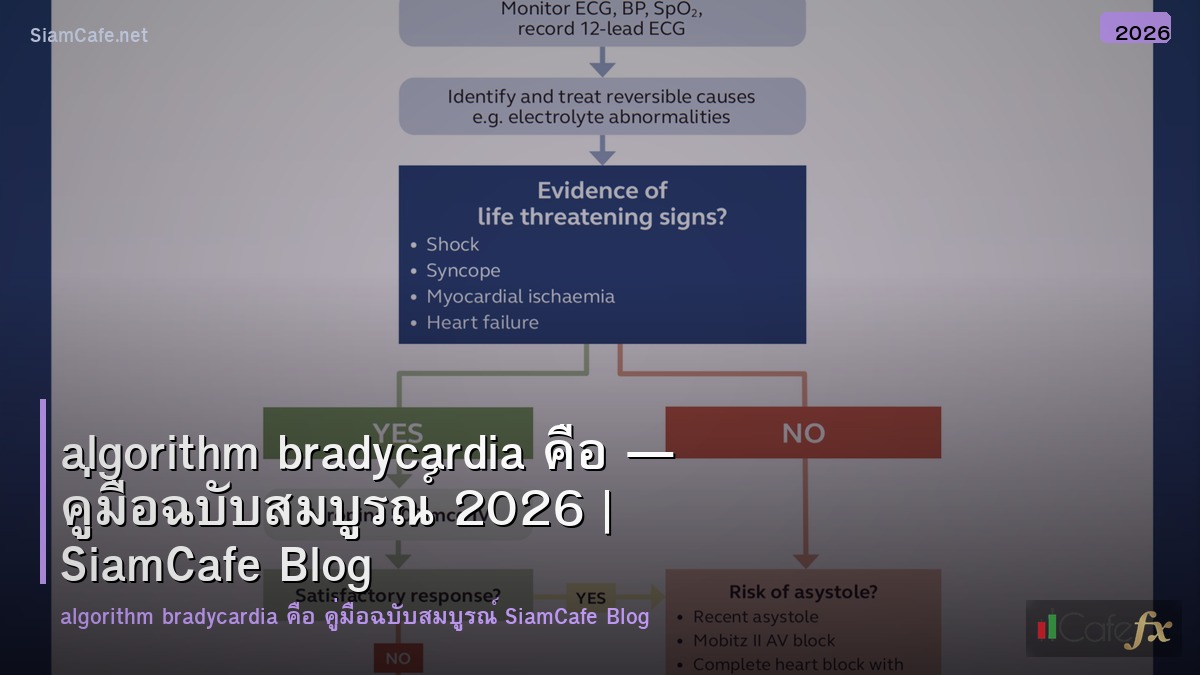 algorithm bradycardia คอ