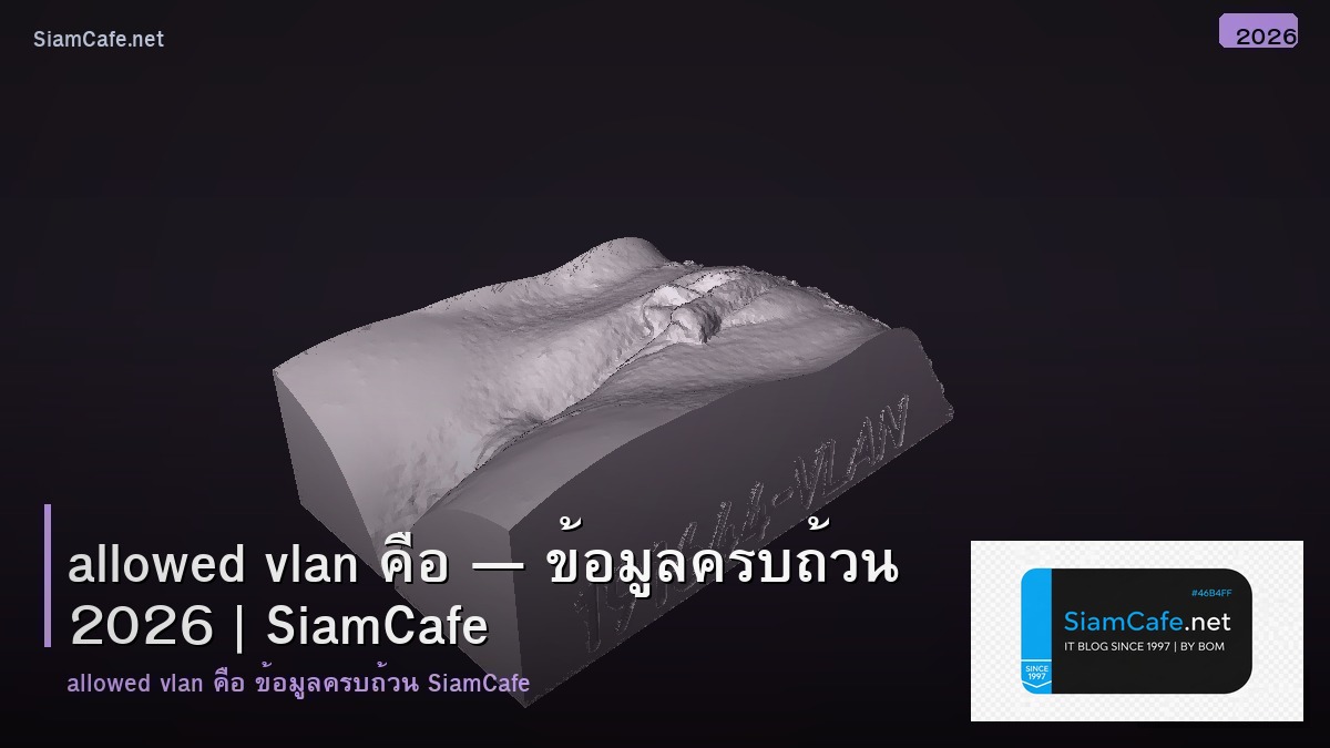 allowed vlan คอ