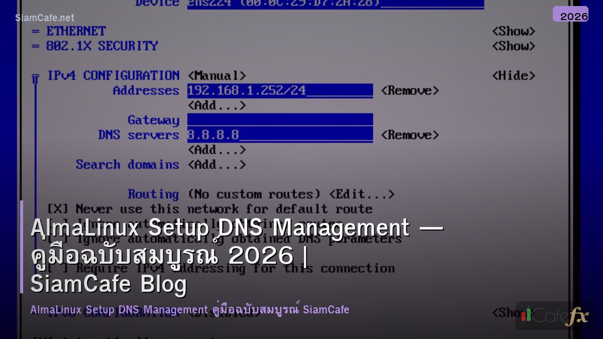 almalinux setup dns management