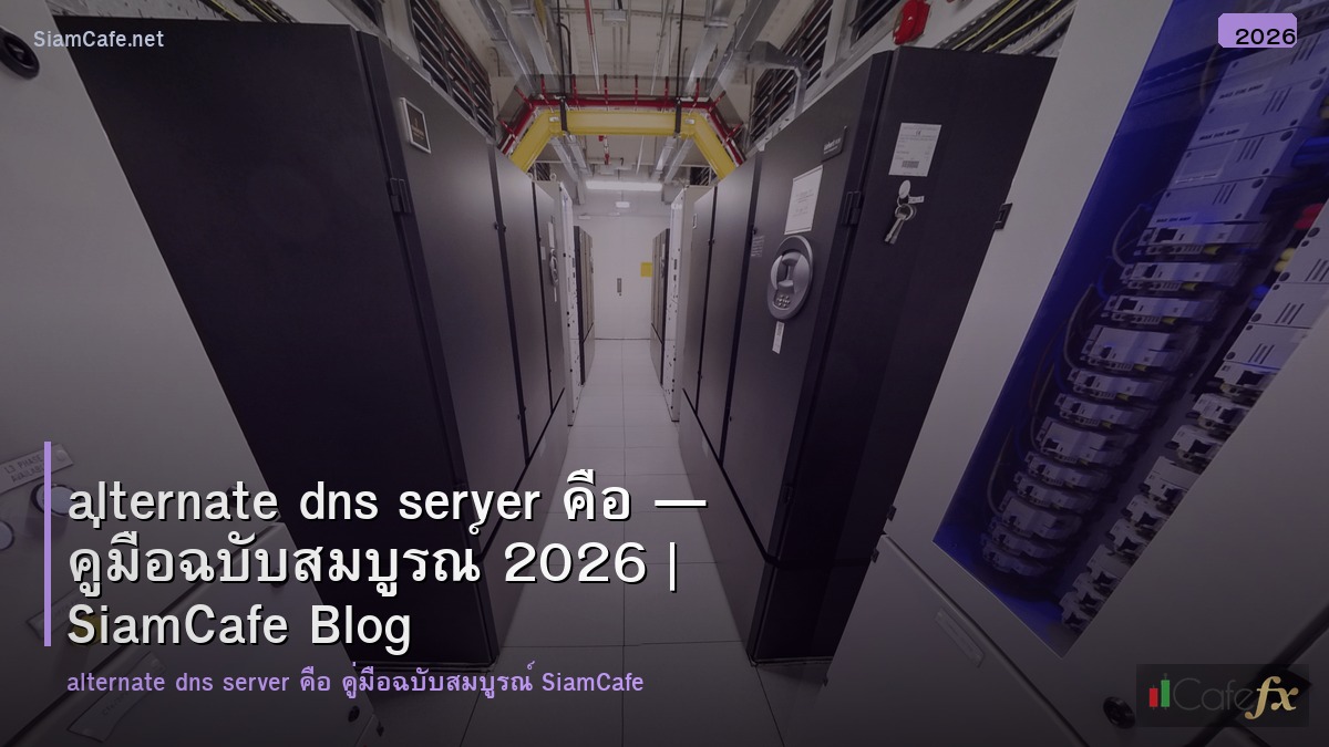 alternate dns server คอ