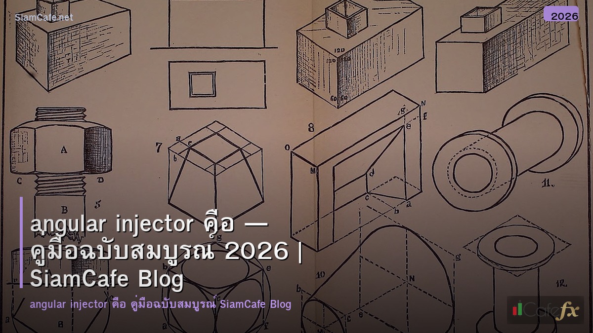 angular injector คอ