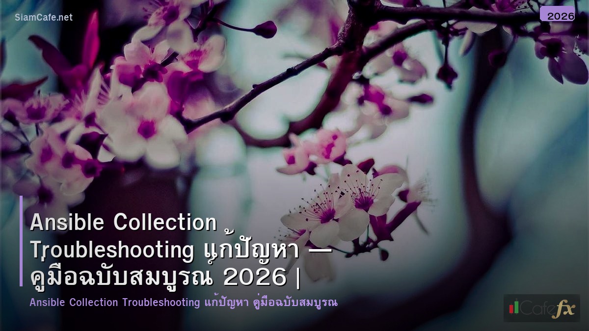 ansible collection troubleshooting แกปญหา