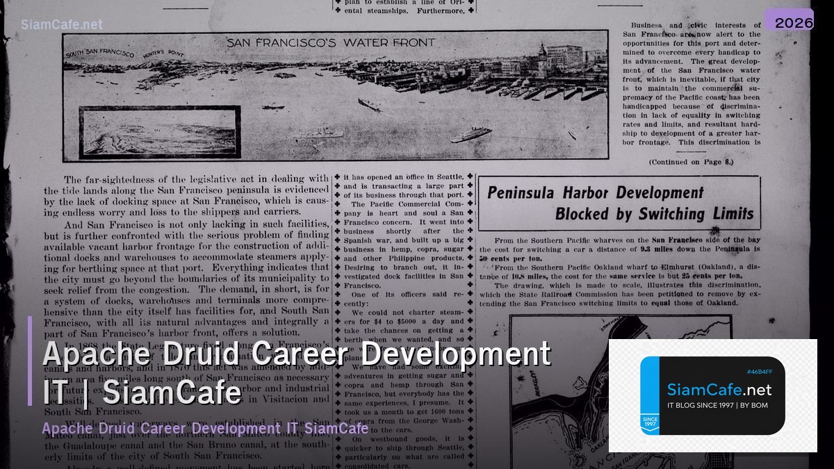 apache druid career development it