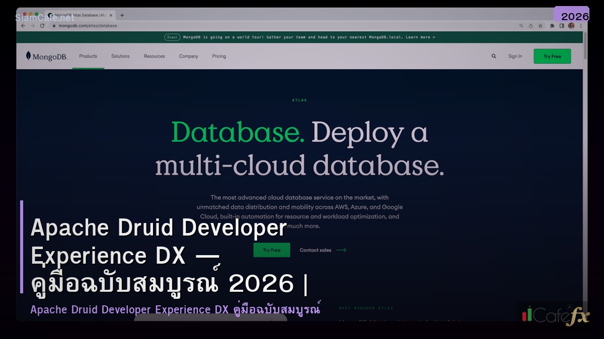 apache druid developer experience dx
