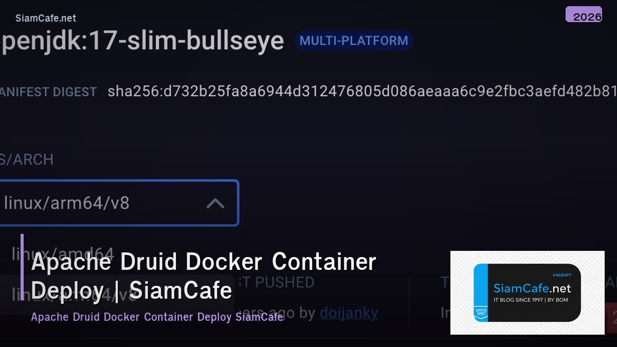 apache druid docker container deploy