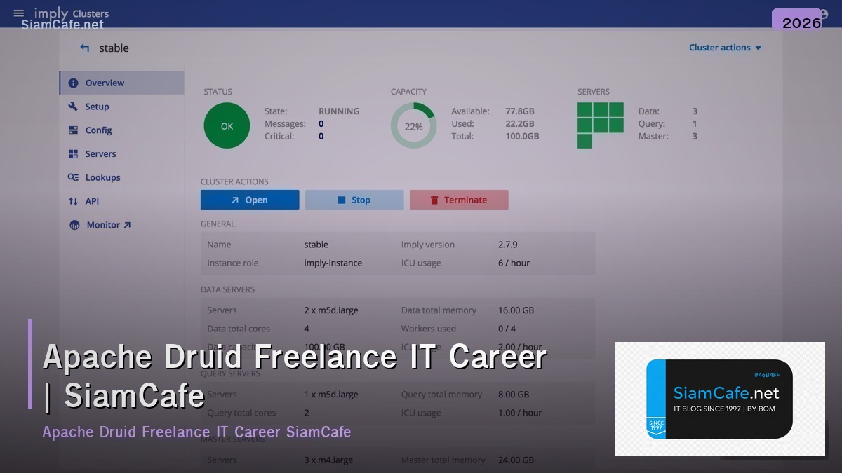 apache druid freelance it career