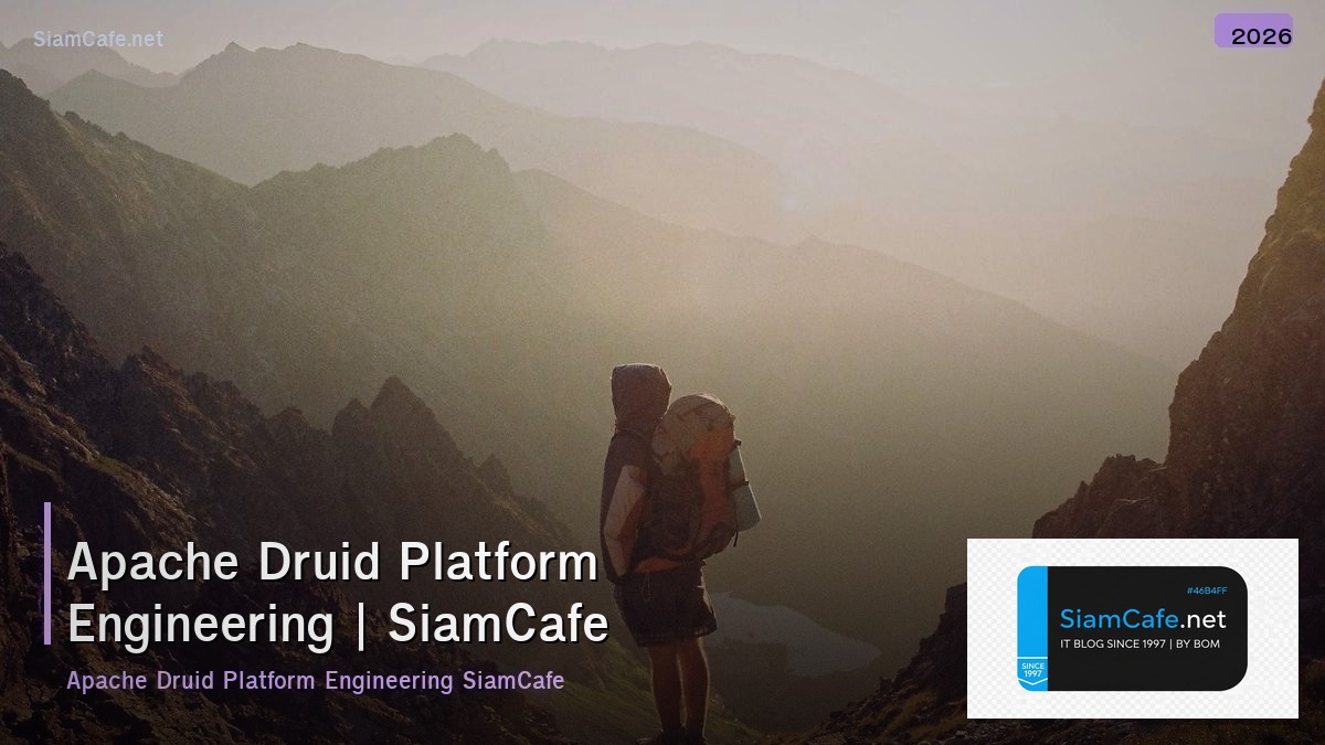apache druid platform engineering