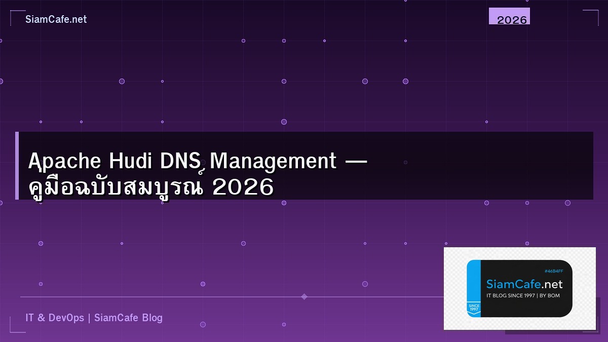 apache hudi dns management