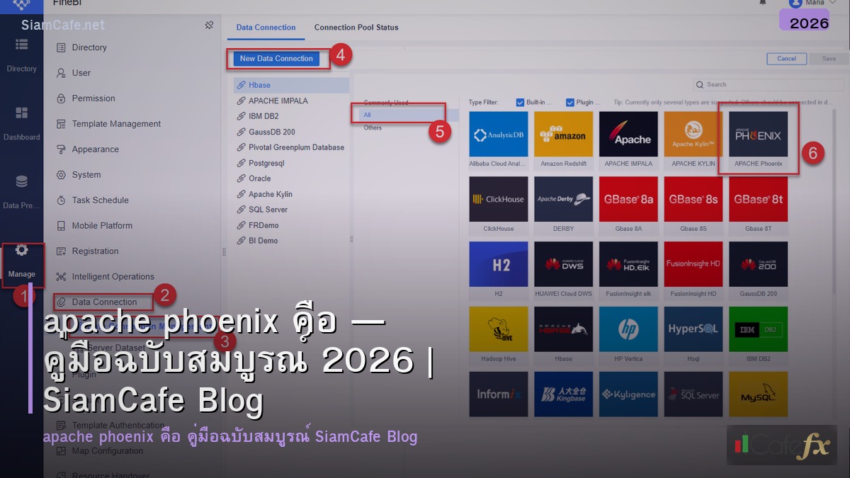 apache phoenix คอ