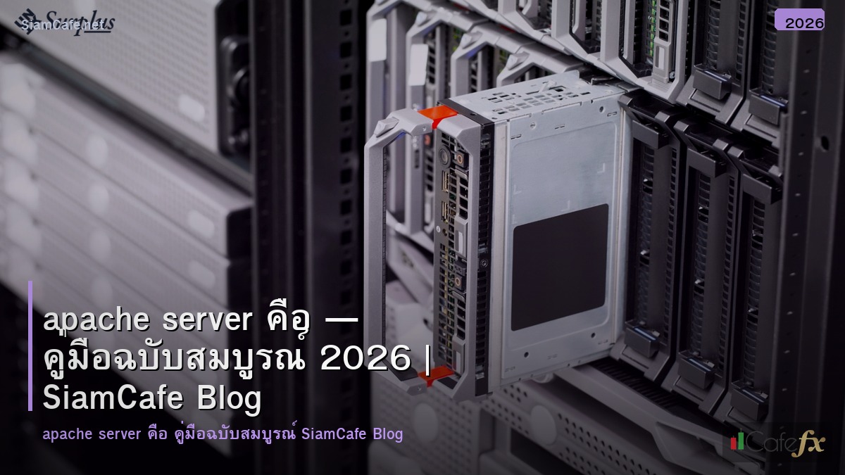 apache server คอ
