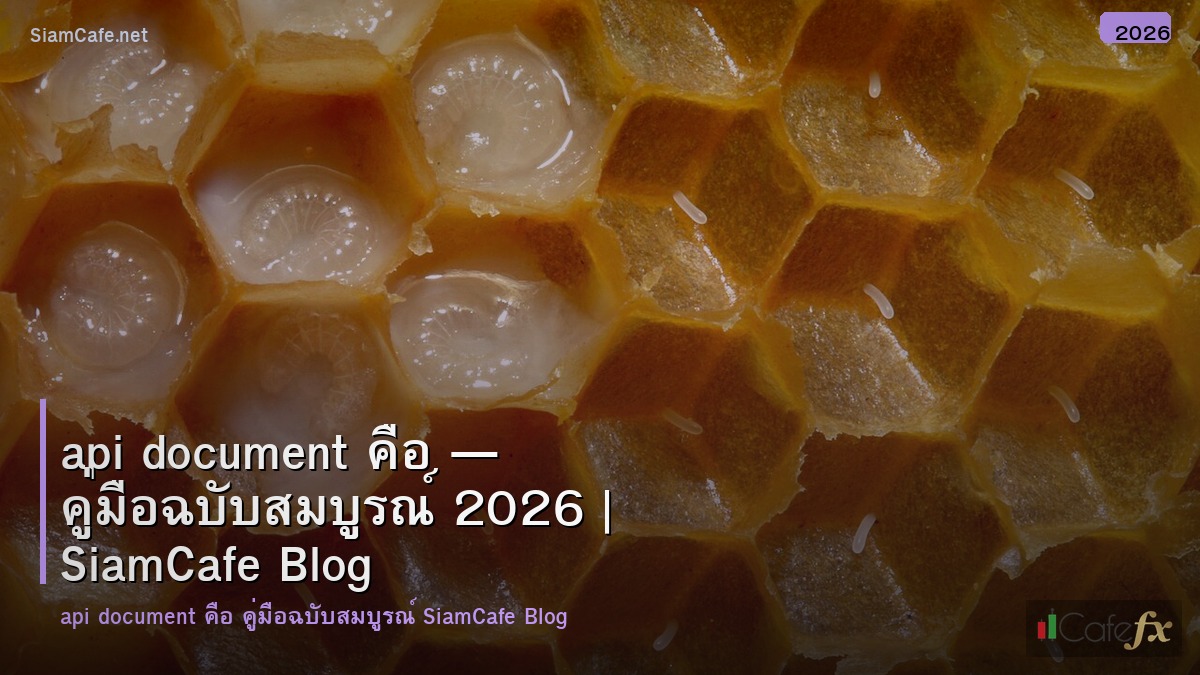 api document คอ