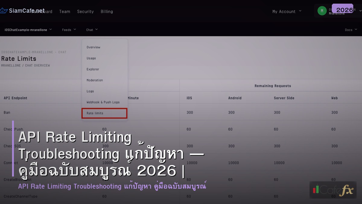 api rate limiting troubleshooting แกปญหา