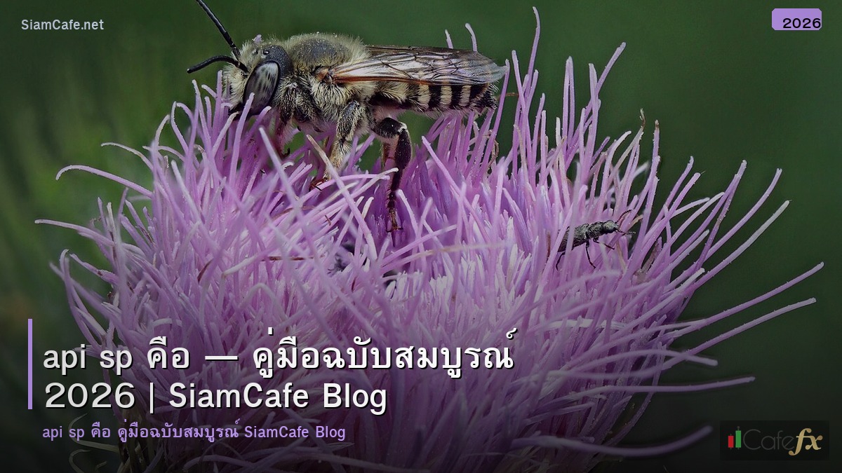 api sp คอ