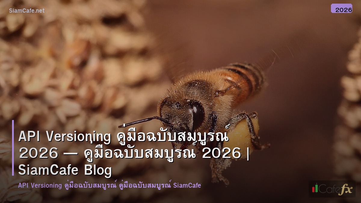 api versioning คมอฉบบสมบรณ 2026