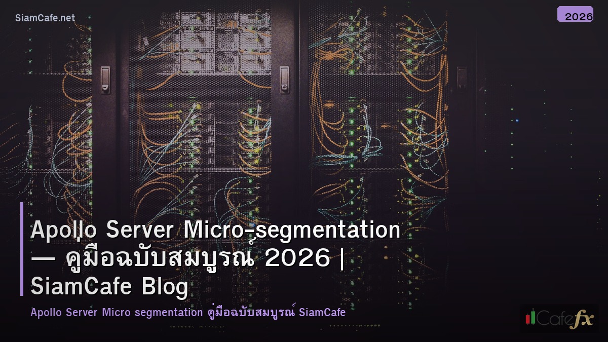 apollo server micro segmentation