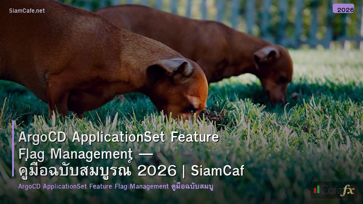 argocd applicationset feature flag management