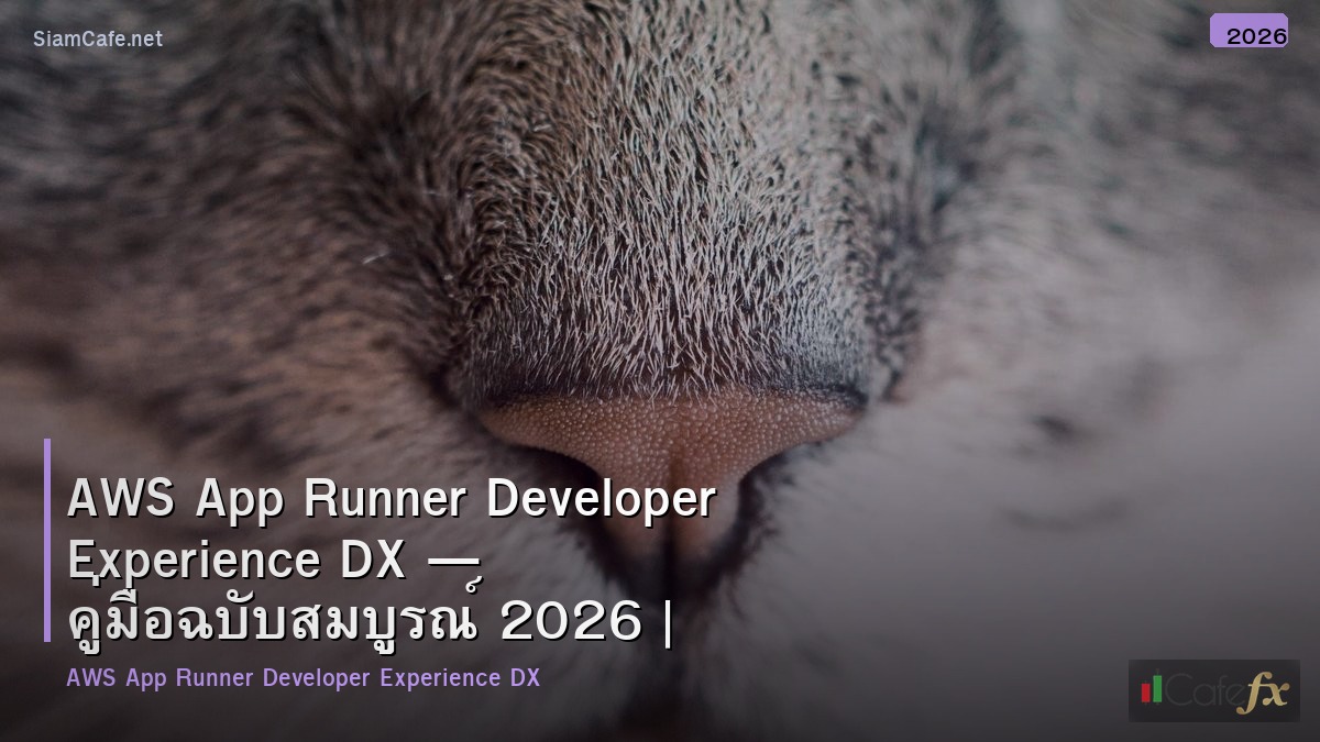 aws app runner developer experience dx