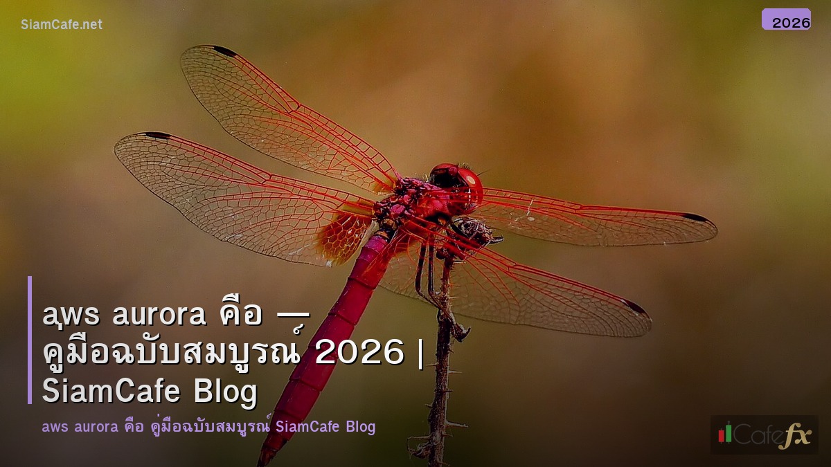 aws aurora คอ