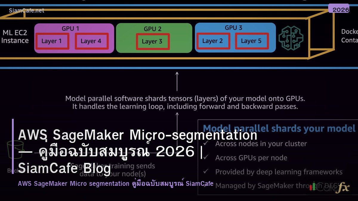 aws sagemaker micro segmentation