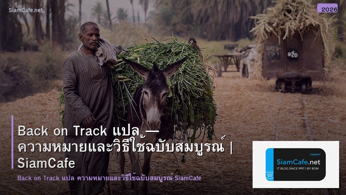 back on track แปล