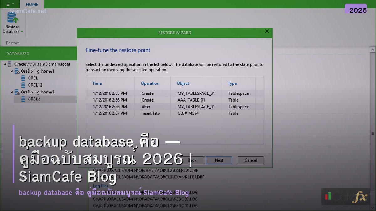 backup database คอ