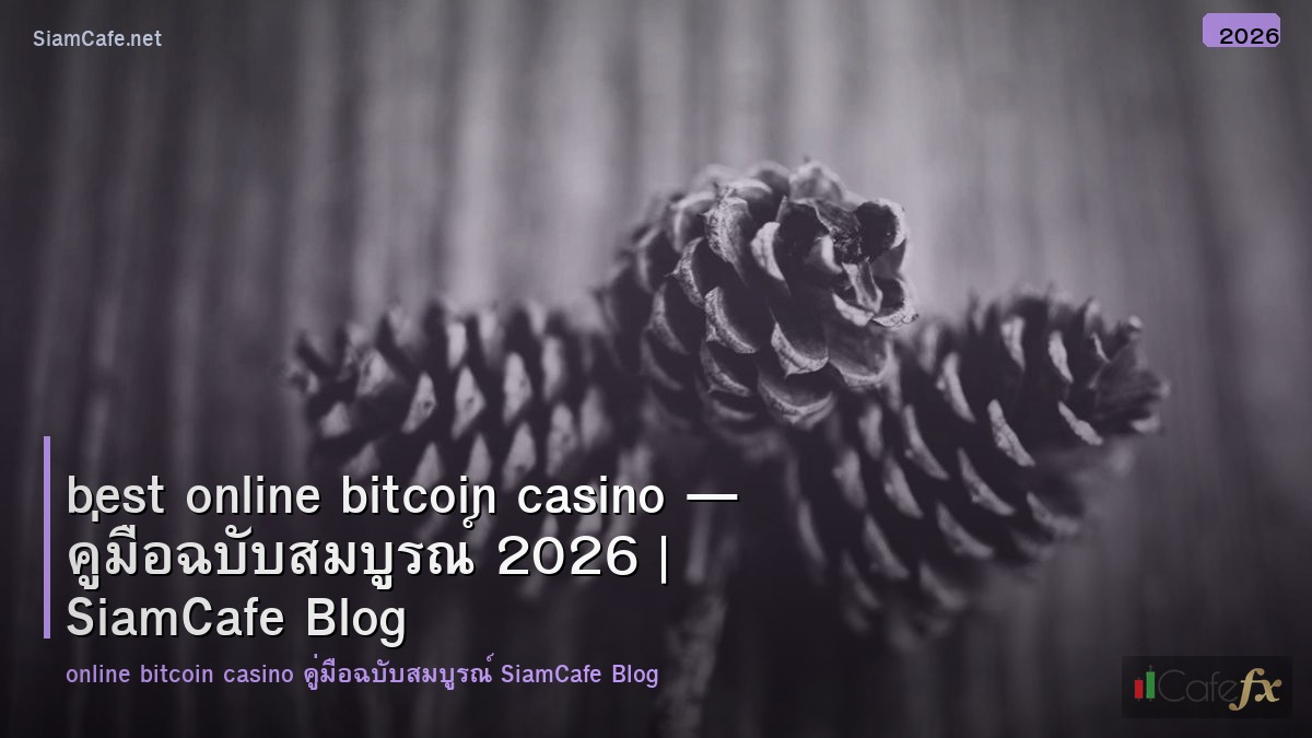best online bitcoin casino