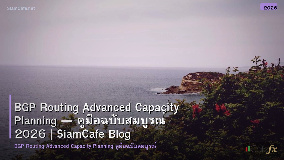 bgp routing advanced capacity planning