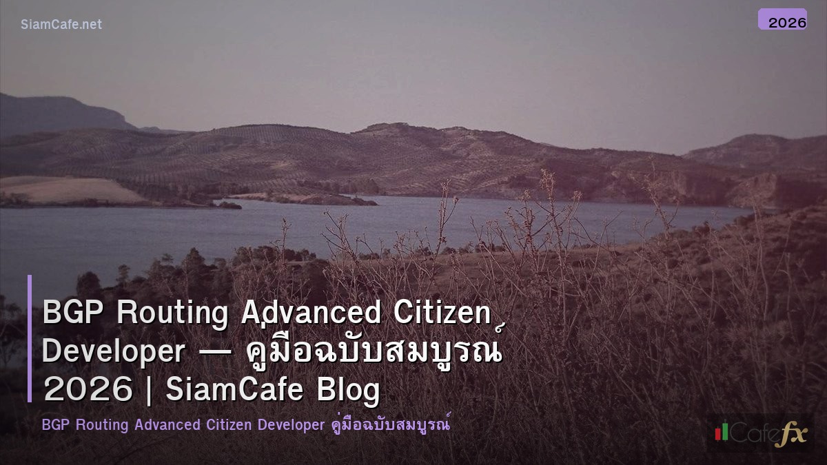 bgp routing advanced citizen developer