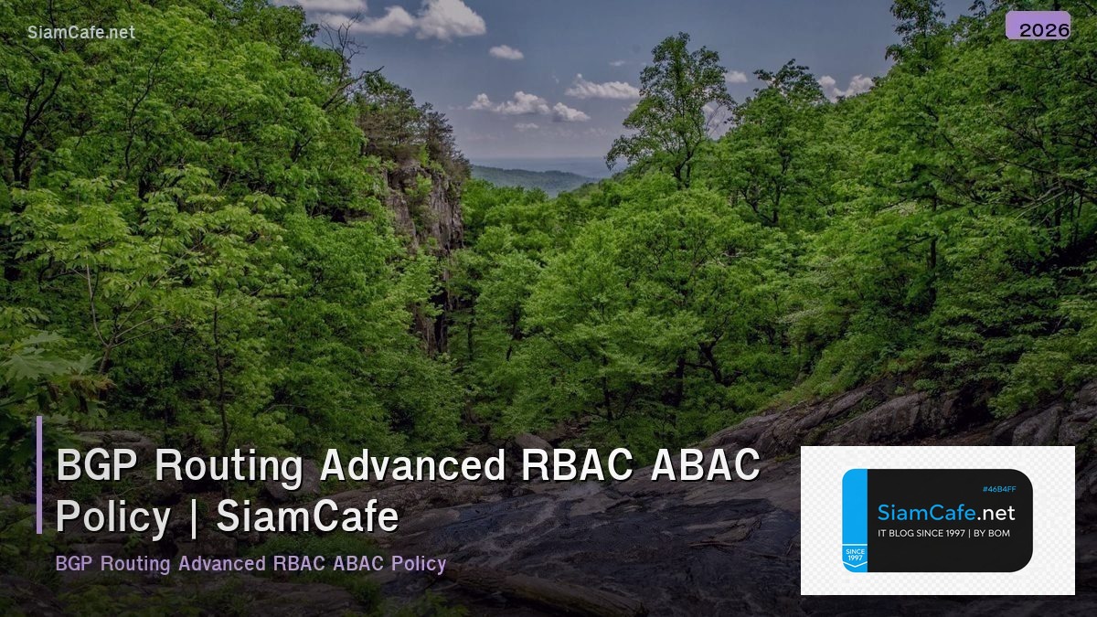 bgp routing advanced rbac abac policy