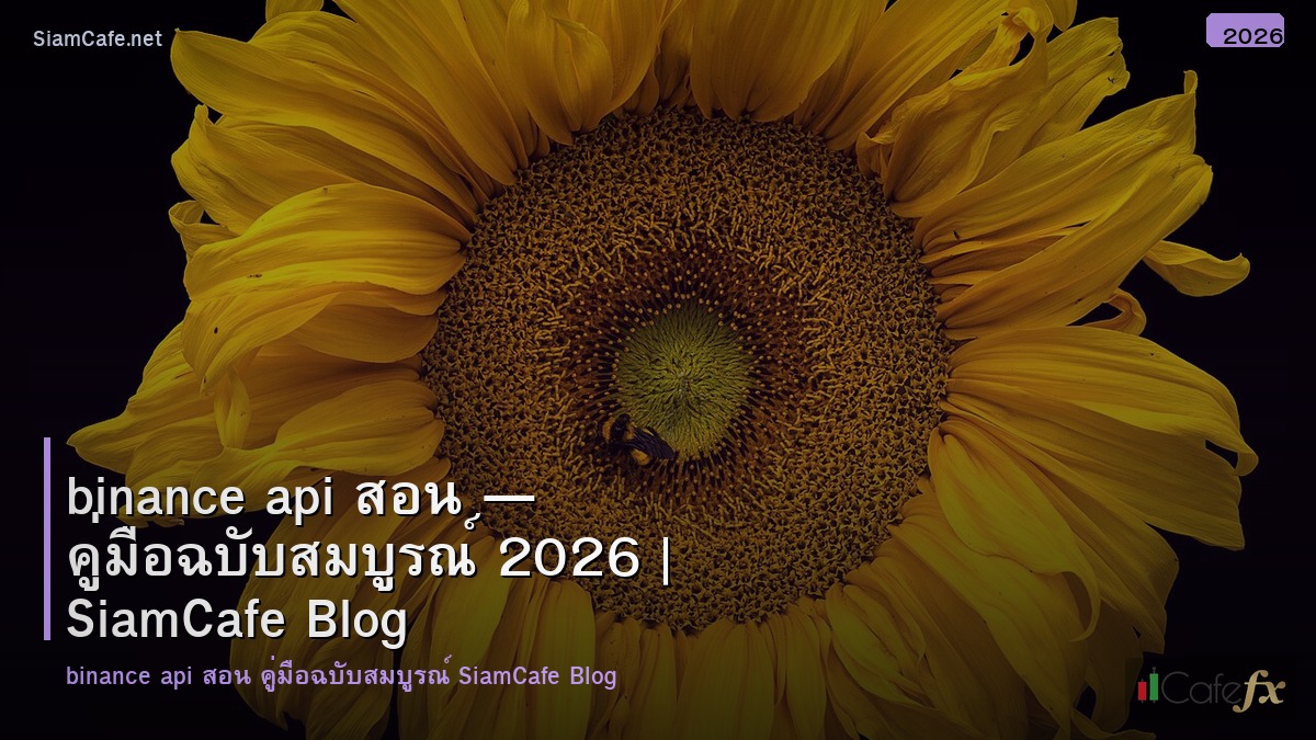 Binance Api สอน