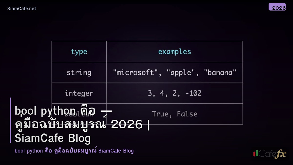 bool python คอ