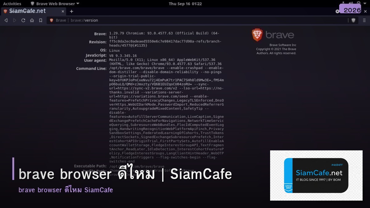 brave browser ดไหม