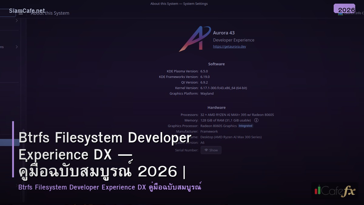 btrfs filesystem developer experience dx