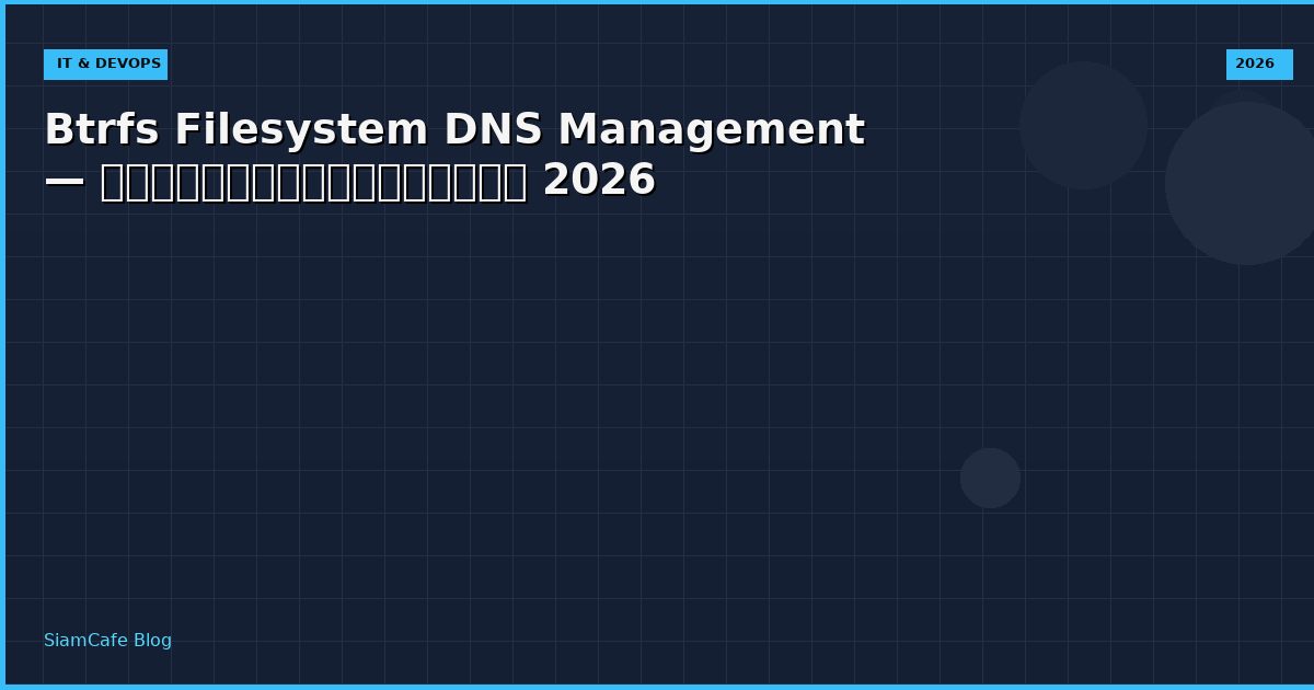 btrfs filesystem dns management