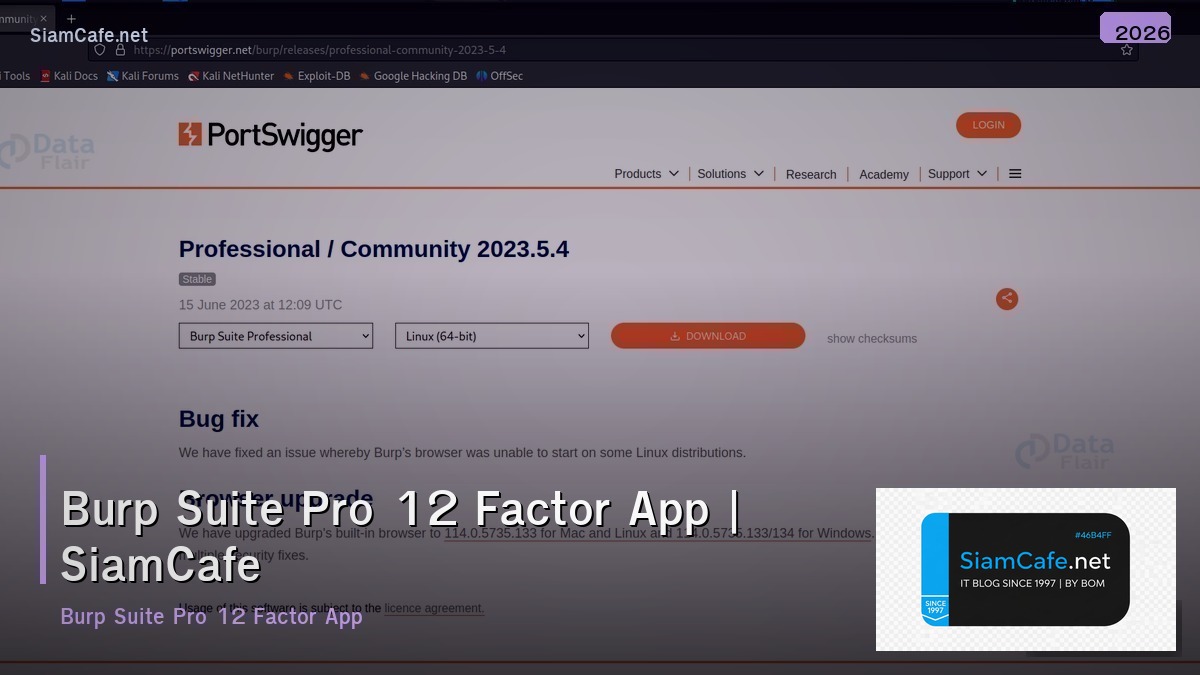 burp suite pro 12 factor app