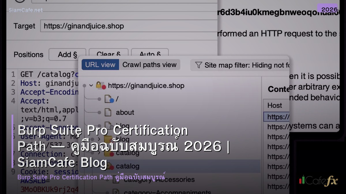 burp suite pro certification path