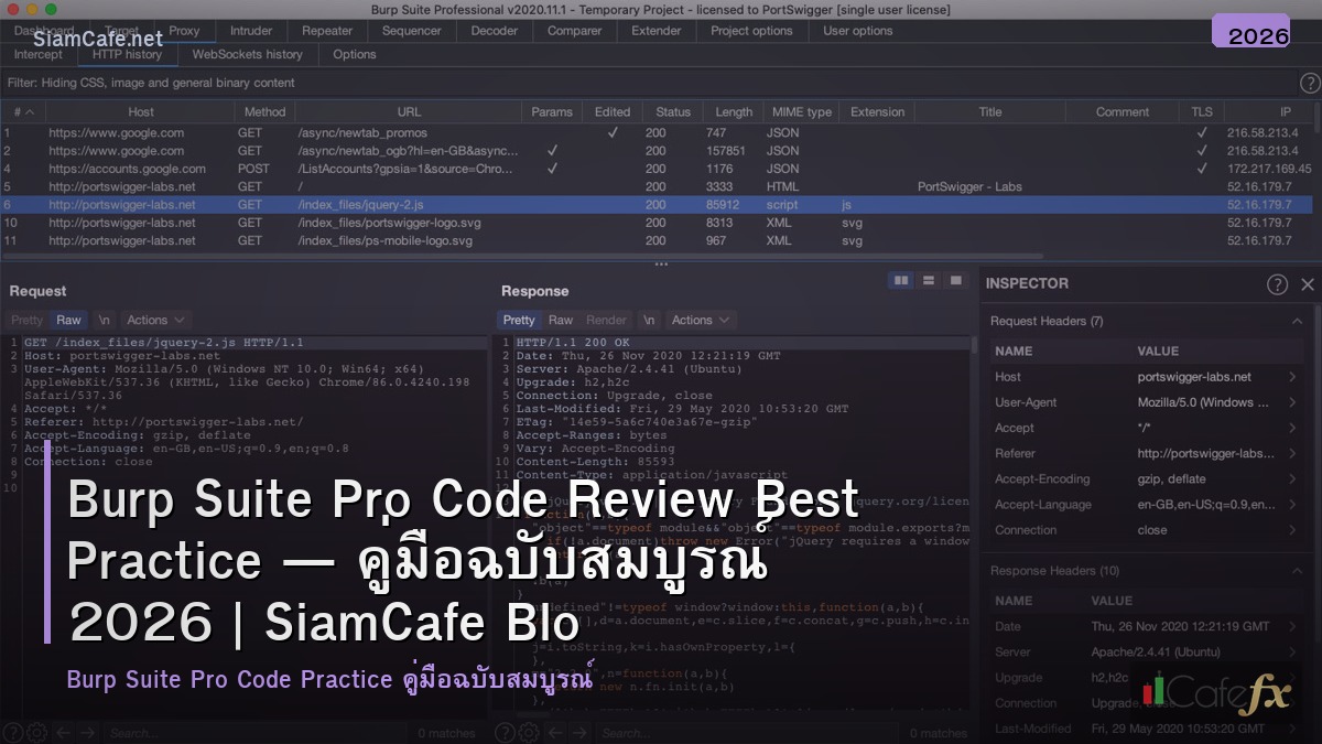 burp suite pro code review best practice