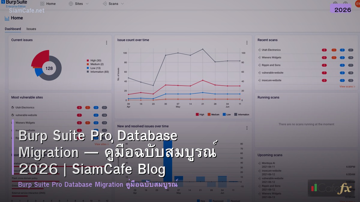 burp suite pro database migration