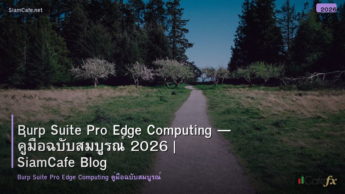 burp suite pro edge computing
