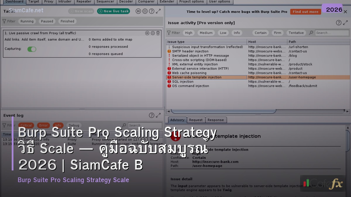 burp suite pro scaling strategy วธ scale