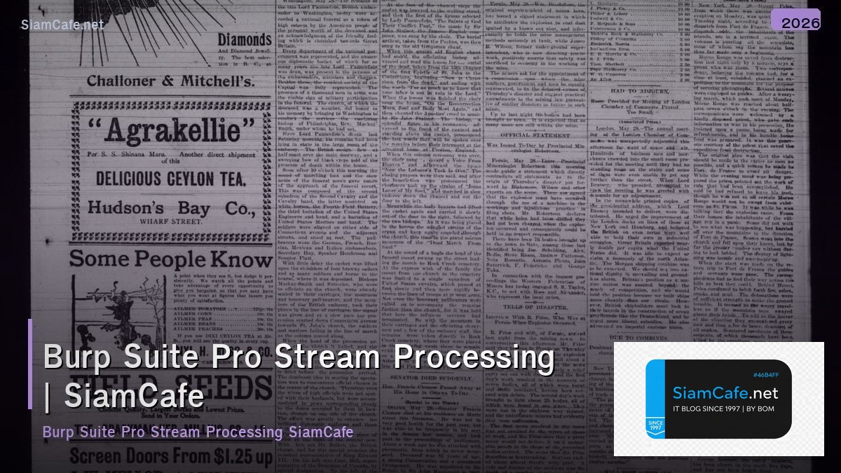 burp suite pro stream processing