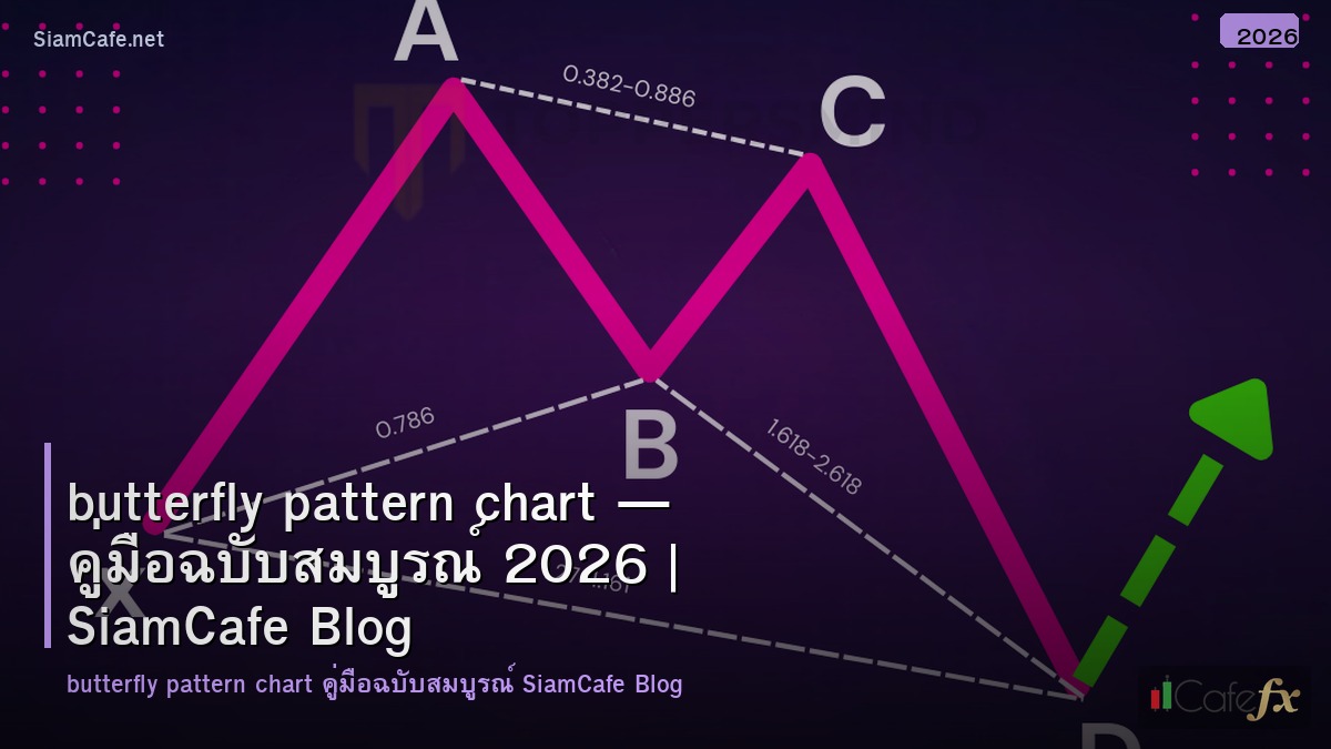 butterfly pattern chart