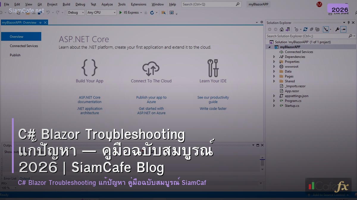 c blazor troubleshooting แกปญหา