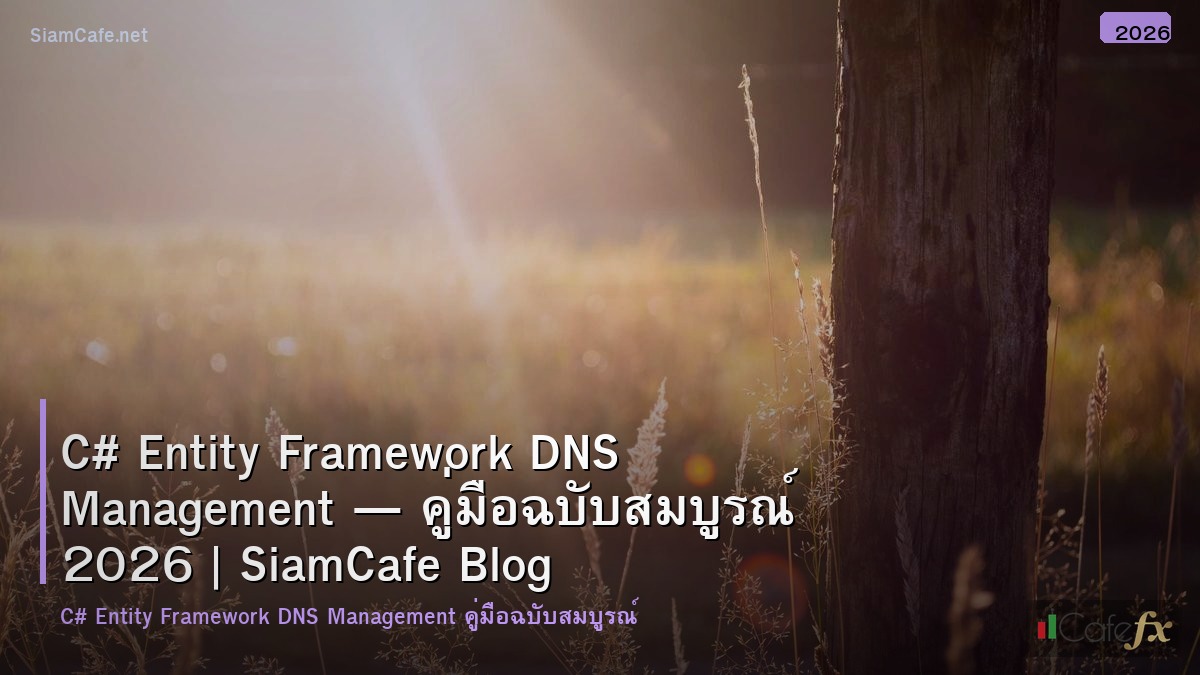 c entity framework dns management