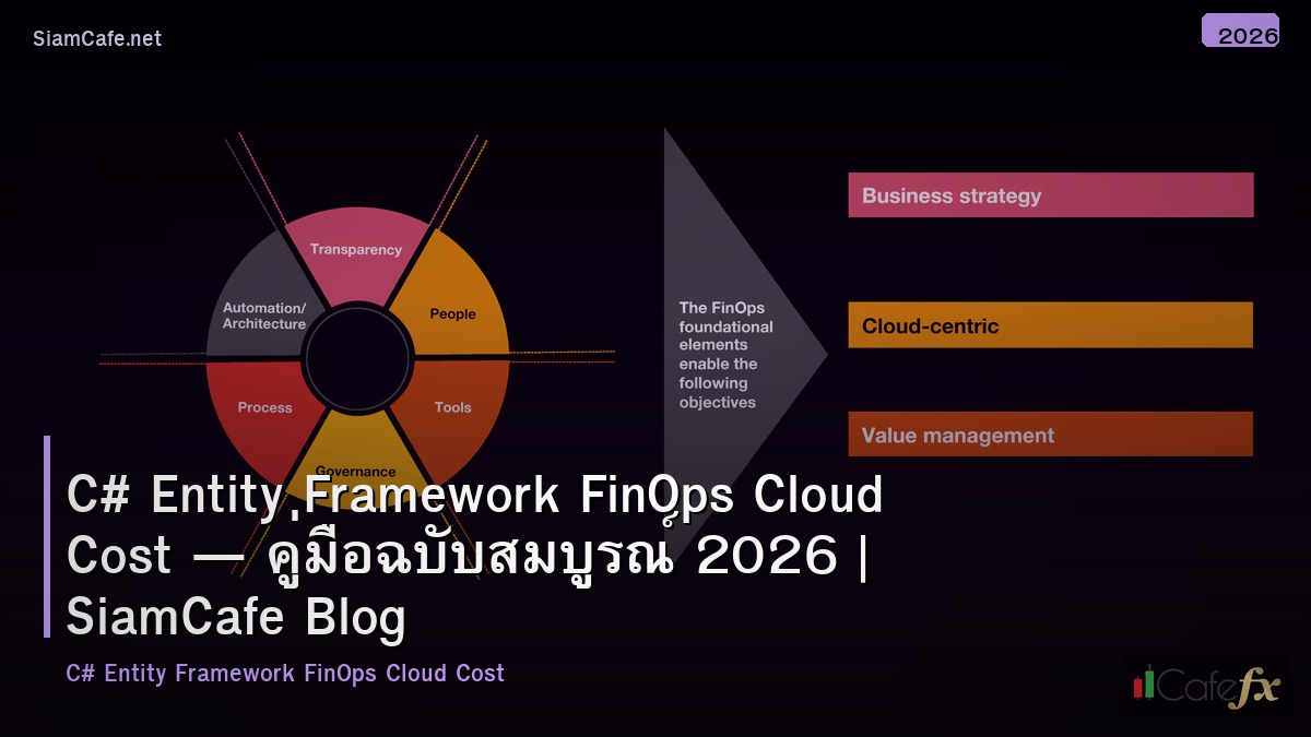 c entity framework finops cloud cost