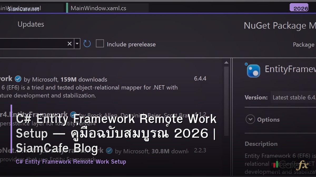 c entity framework remote work setup