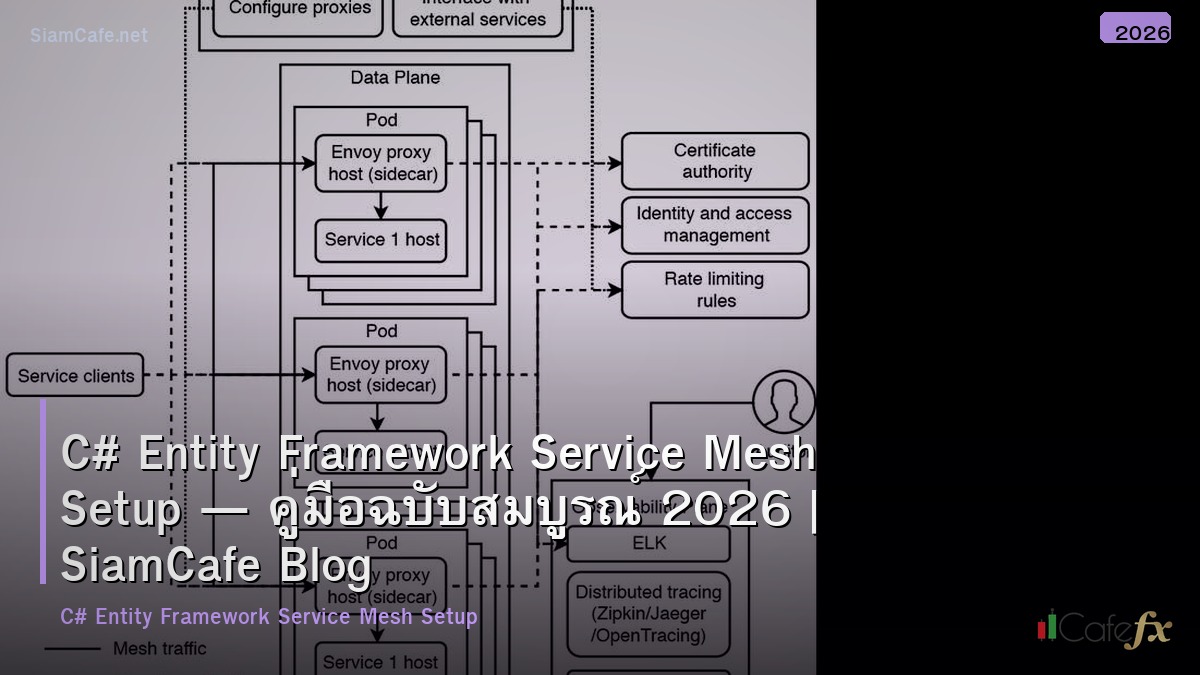c entity framework service mesh setup